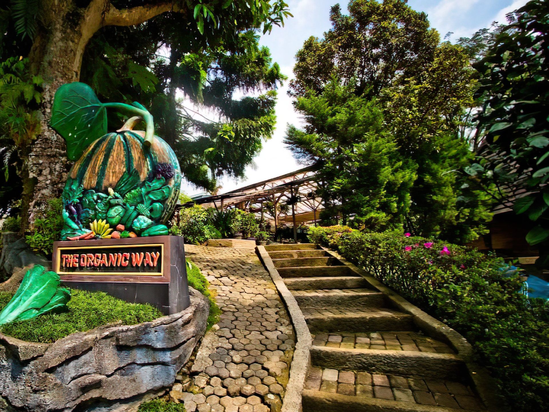 Kebun Organik